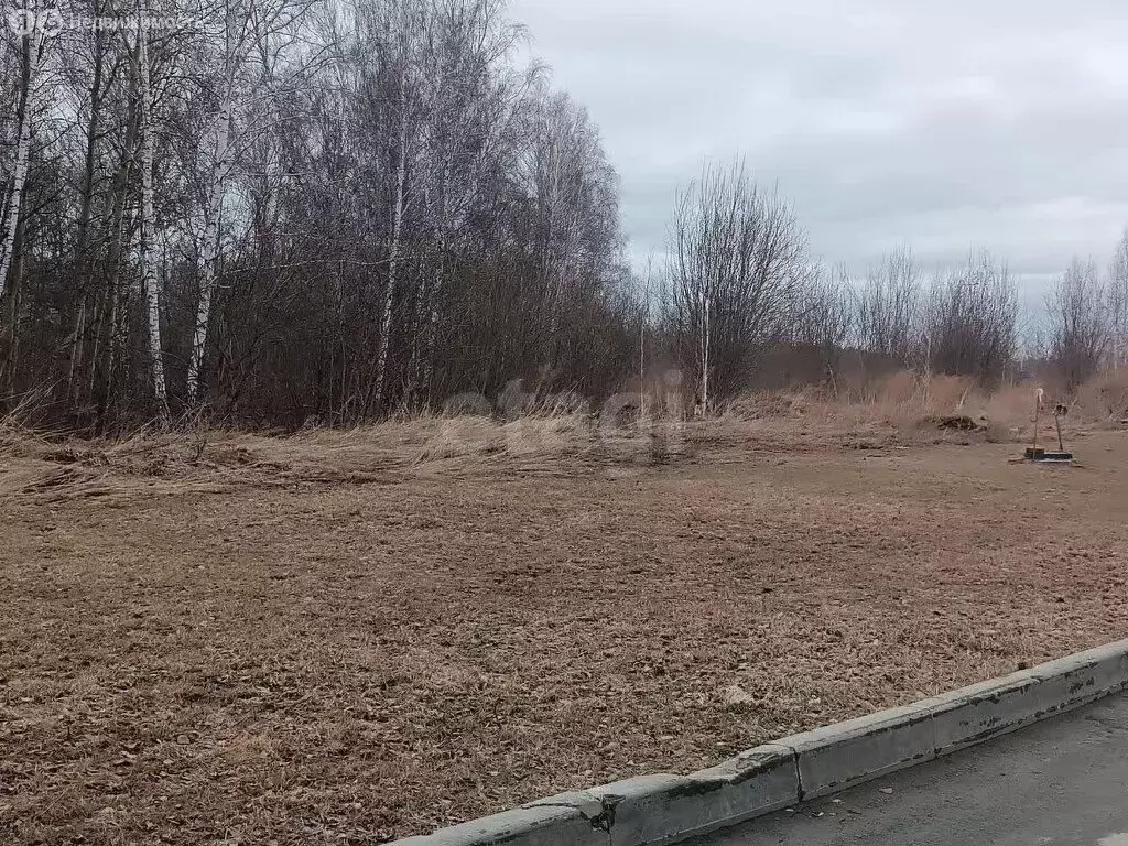 Участок в Барышевский сельсовет, посёлок Ложок (6.7 м) - Фото 0