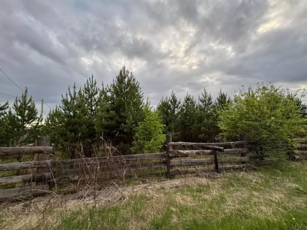 Участок в Иркутская область, Иркутский муниципальный округ, Маркова рп ... - Фото 2