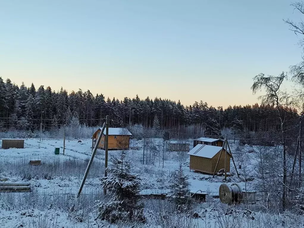 Участок в Ленинградская область, Выборгский район, Полянское с/пос, ... - Фото 1