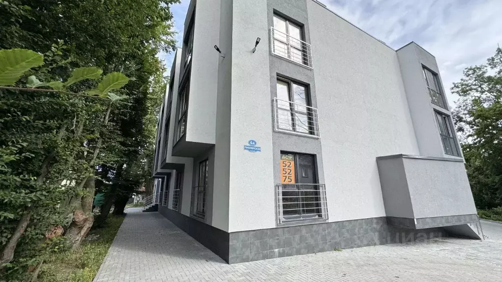 Студия Калининградская область, Зеленоградский муниципальный округ, ... - Фото 1