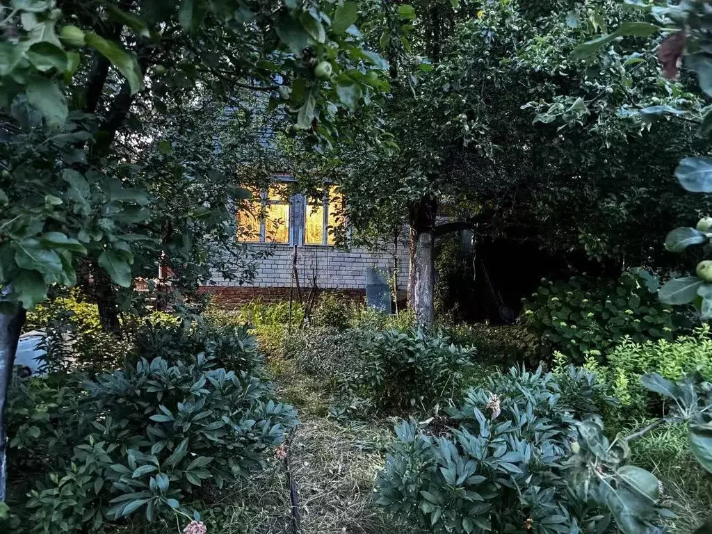 Дом в Воронежская область, Новоусманский район, Рождественско-Хавское ... - Фото 1