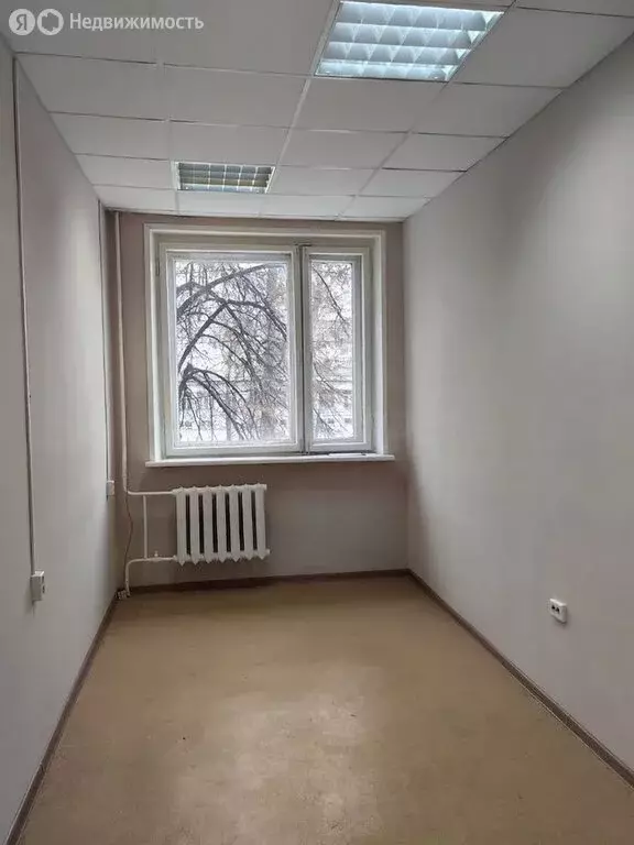 Офис (13 м) - Фото 2