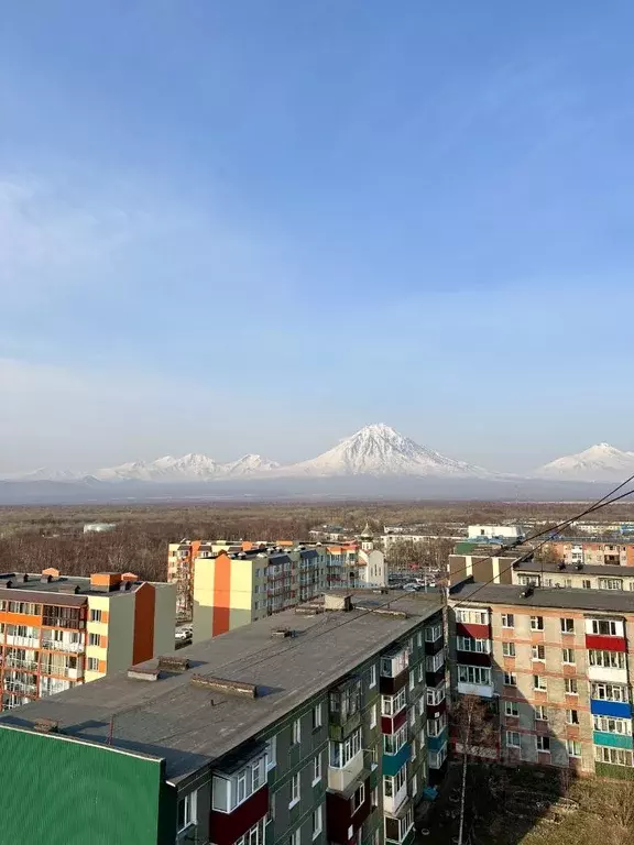 1-к кв. Камчатский край, Елизово ул. Гришечко, 13 (37.0 м) - Фото 1
