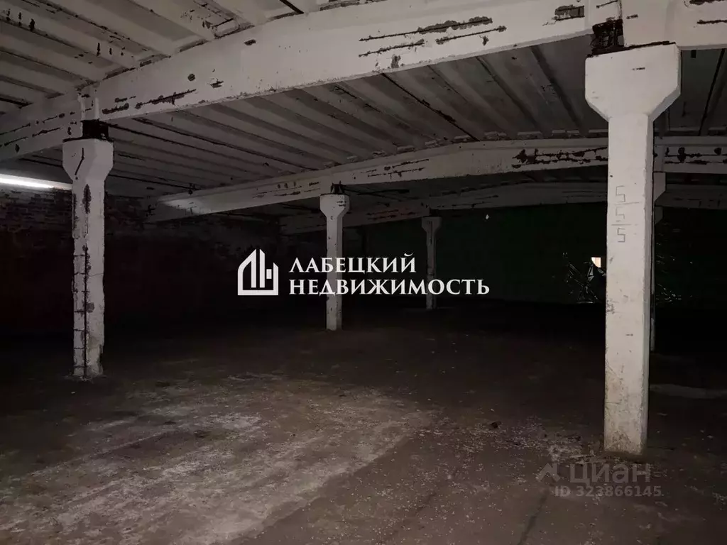 Помещение свободного назначения в Ленинградская область, Волосовский ... - Фото 2