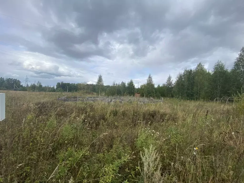 Участок в Свердловская область, Горноуральский городской округ, с. ... - Фото 0