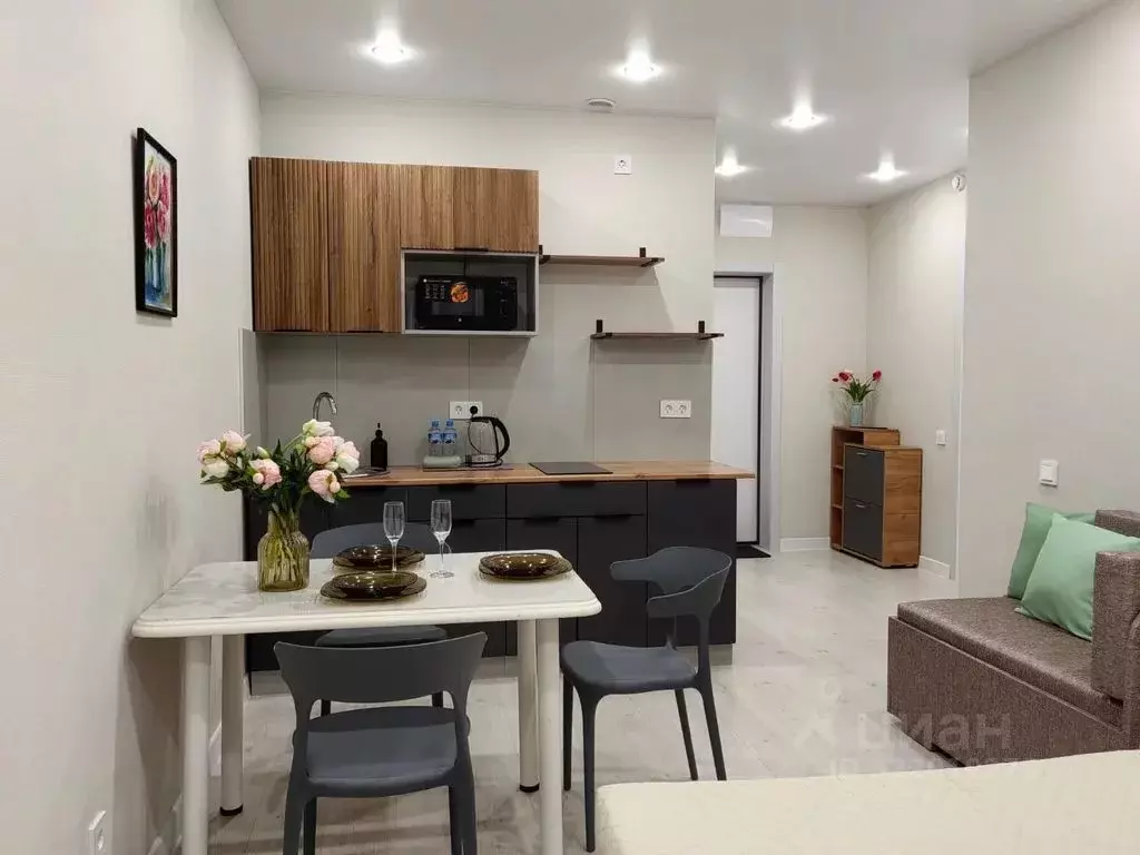 Студия Тюменская область, Тюмень ул. Новоселов, 92 (28.0 м) - Фото 2