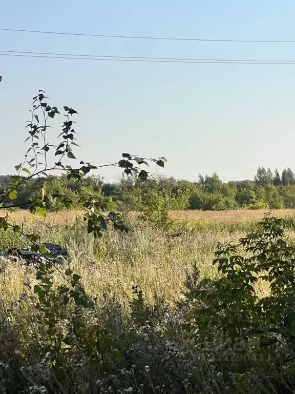 Участок в Омская область, Омск ул. Кондратюка (11.2 сот.) - Фото 2