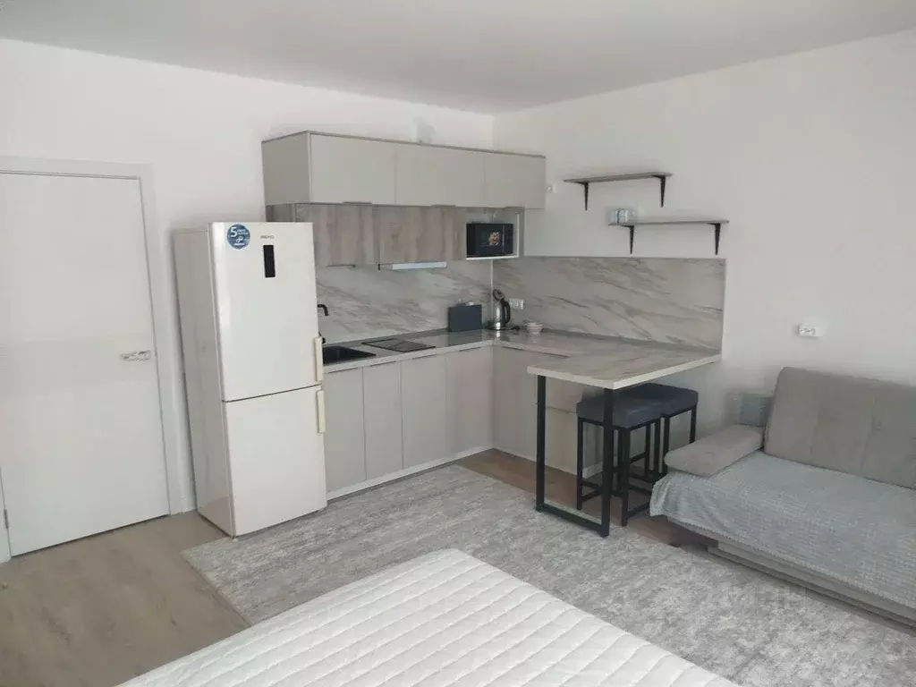 Студия Москва № 61 кв-л, 14 (30.0 м) - Фото 1