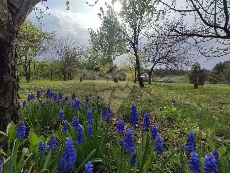 Дом в Белгородская область, Старооскольский городской округ, с. Котово ... - Фото 1