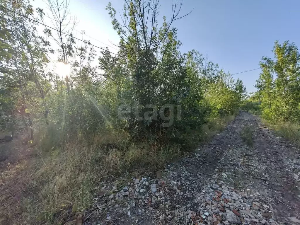 Участок в Ростовская область, Ростов-на-Дону Луч садовое товарищество, ... - Фото 0