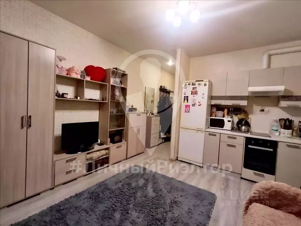 Студия Рязанская область, Рязань Московское ш., 33к3 (25.0 м) - Фото 1