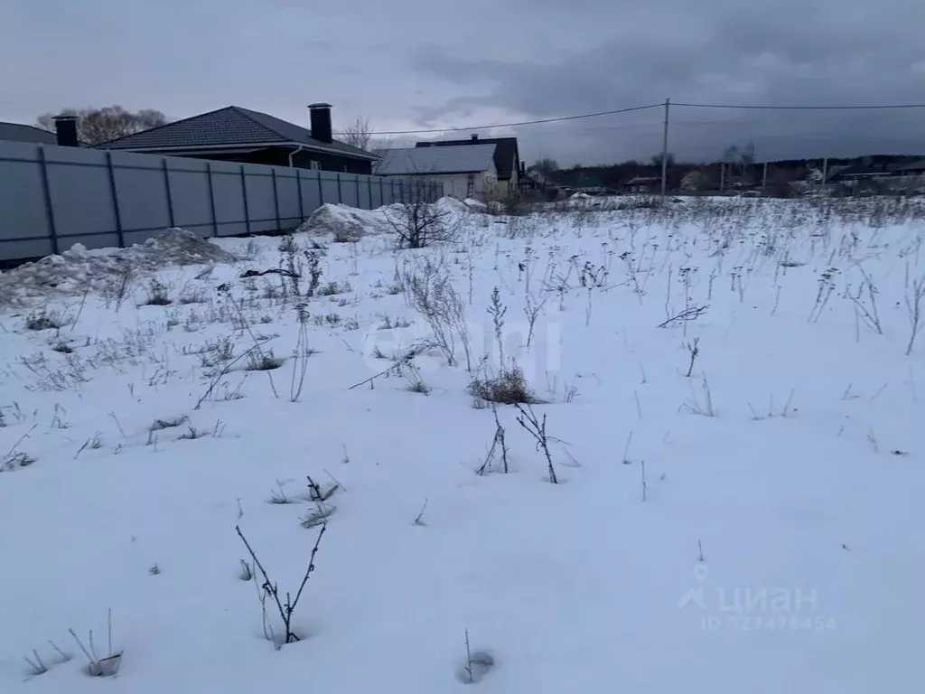 Участок в Воронежская область, Новоусманский район, с. Бабяково ... - Фото 2