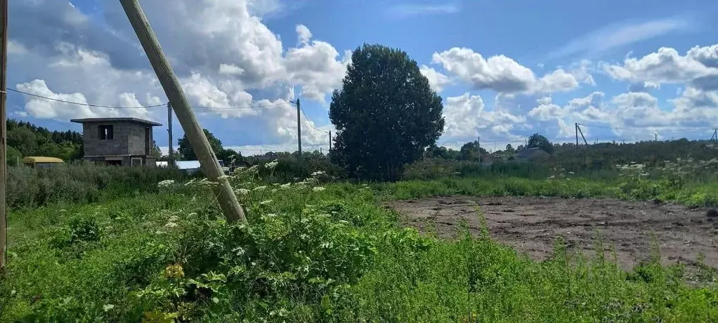 Участок в Ленинградская область, Ломоносовский район, Лопухинское ... - Фото 0