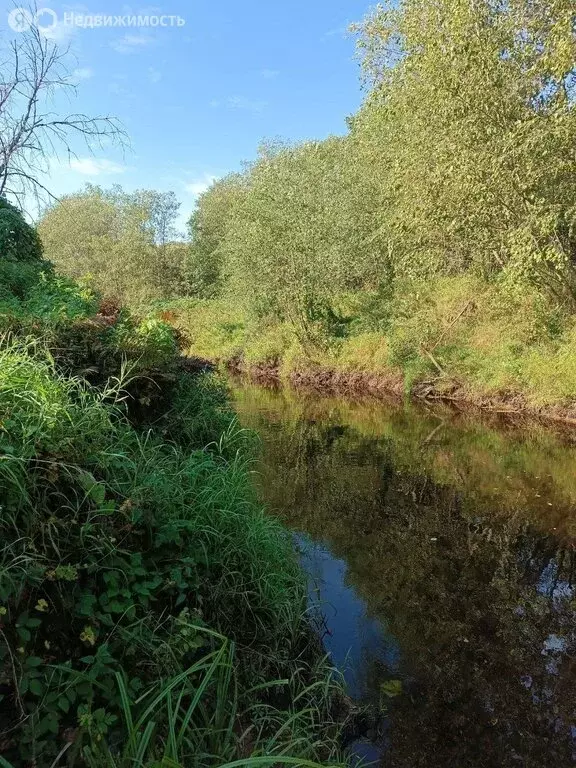 Дом в Пролетарское городское поселение, СДТ Бережки (40 м) - Фото 1
