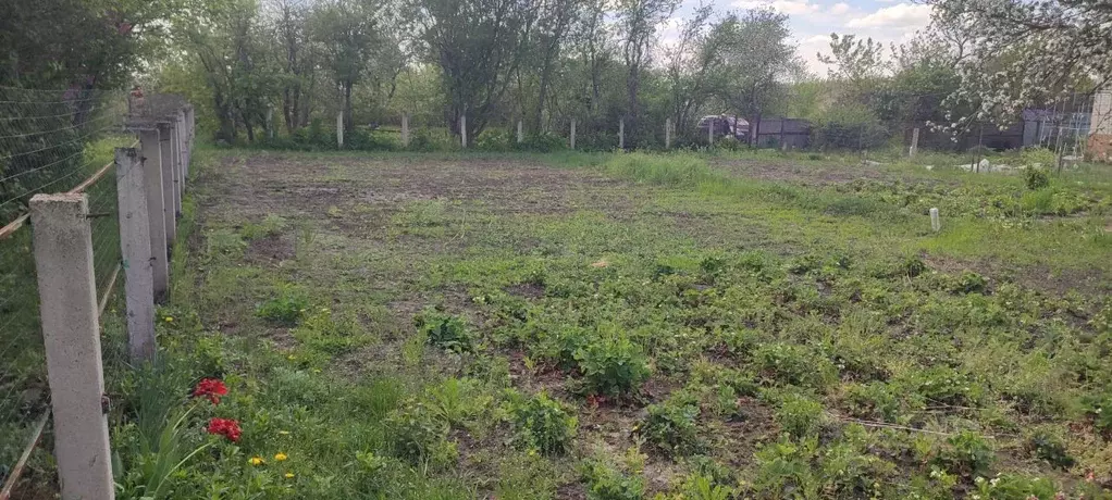 Дом в Воронежская область, Борисоглебск пос. Водострой,  (30 м) - Фото 1