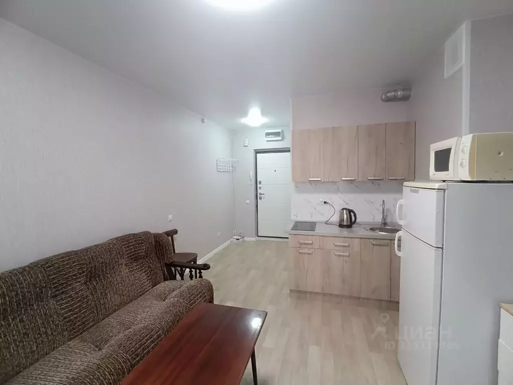 Студия Новосибирская область, Новосибирский район, Станционный ... - Фото 2