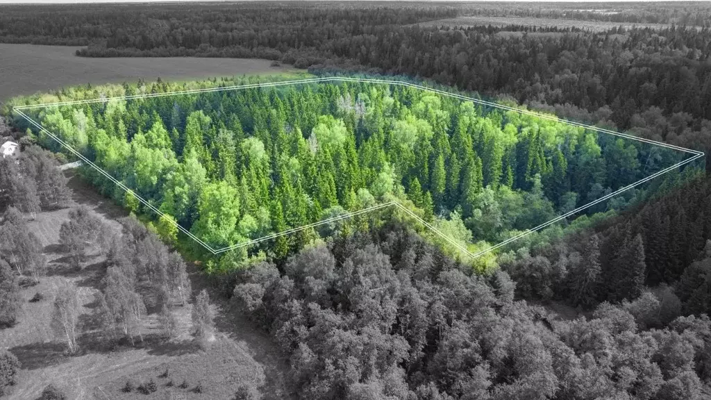 Участок в Московская область, Одинцовский городской округ, Рига лес кп ... - Фото 0