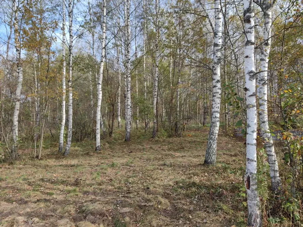 Участок в Владимирская область, Киржачский муниципальный округ, д. ... - Фото 1