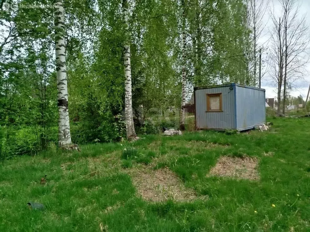 Участок в Глажевское сельское поселение, садоводческое некоммерческое ... - Фото 2
