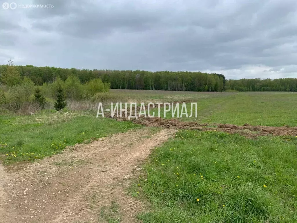 Участок в Московская область, городской округ Подольск, деревня ... - Фото 1