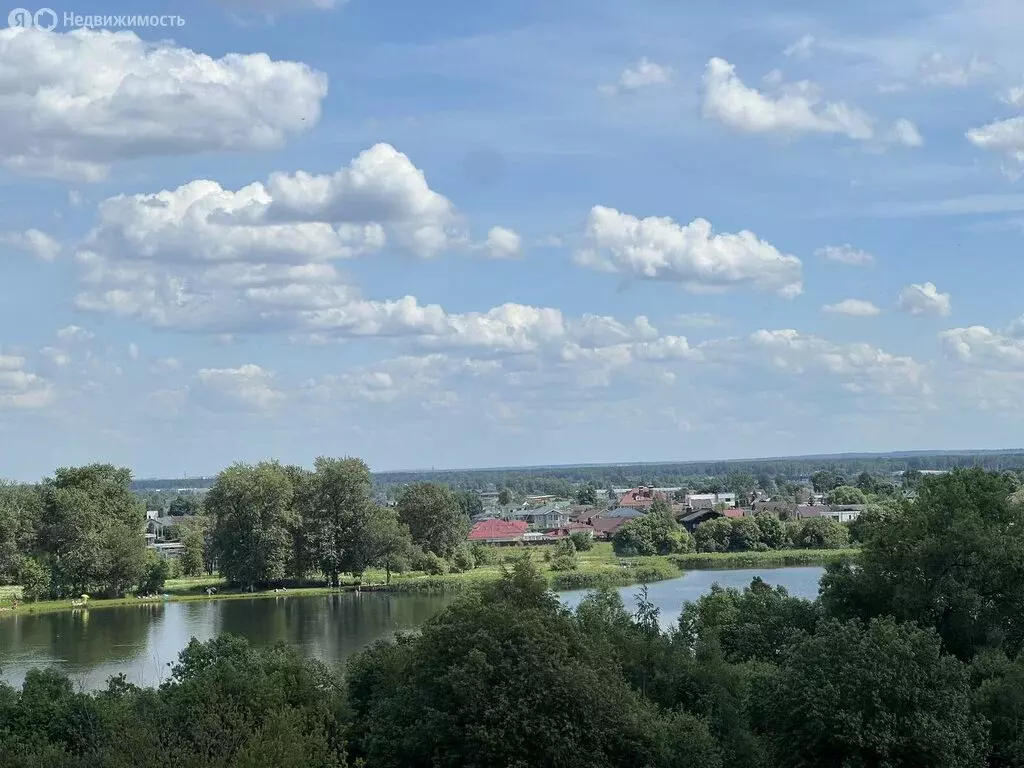 Дом в деревня Низино, улица Лётчика Борисова, 9 (203 м) - Фото 0