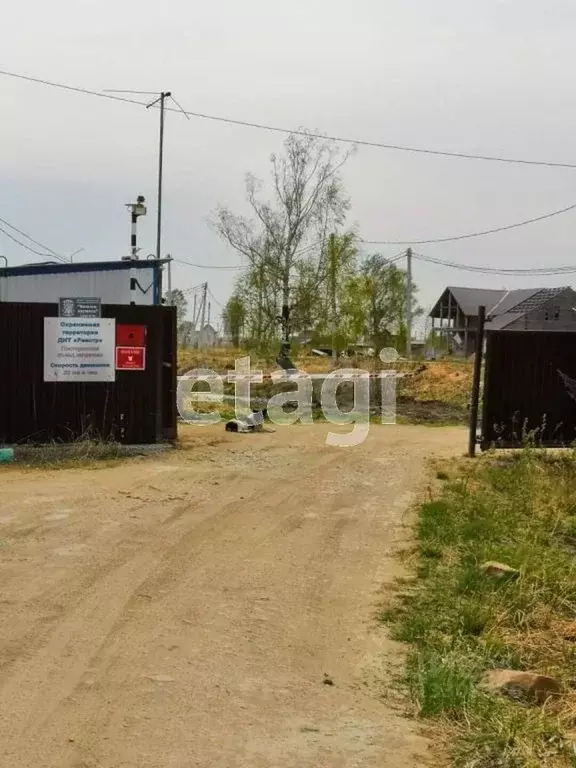 Участок в Новосибирская область, Новосибирский район, Кудряшовский ... - Фото 1