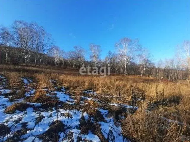 Участок в Камчатский край, Елизово ул. Рябиновая (12.0 сот.) - Фото 0