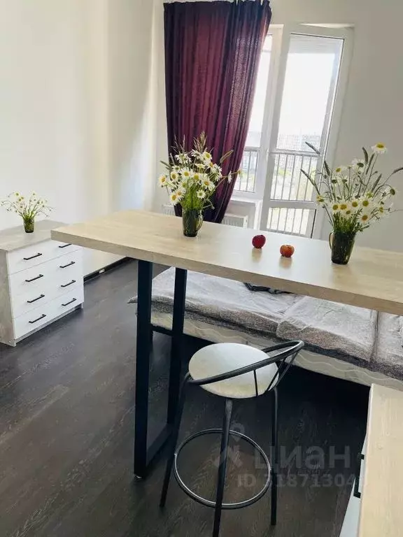 Студия Санкт-Петербург ул. Верхне-Каменская, 11к1 (30.0 м) - Фото 1