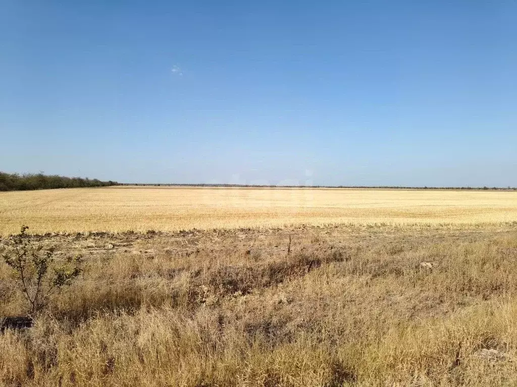 Участок в Крым, Советский район, Ильичевское с/пос, с. Восточное ул. ... - Фото 1