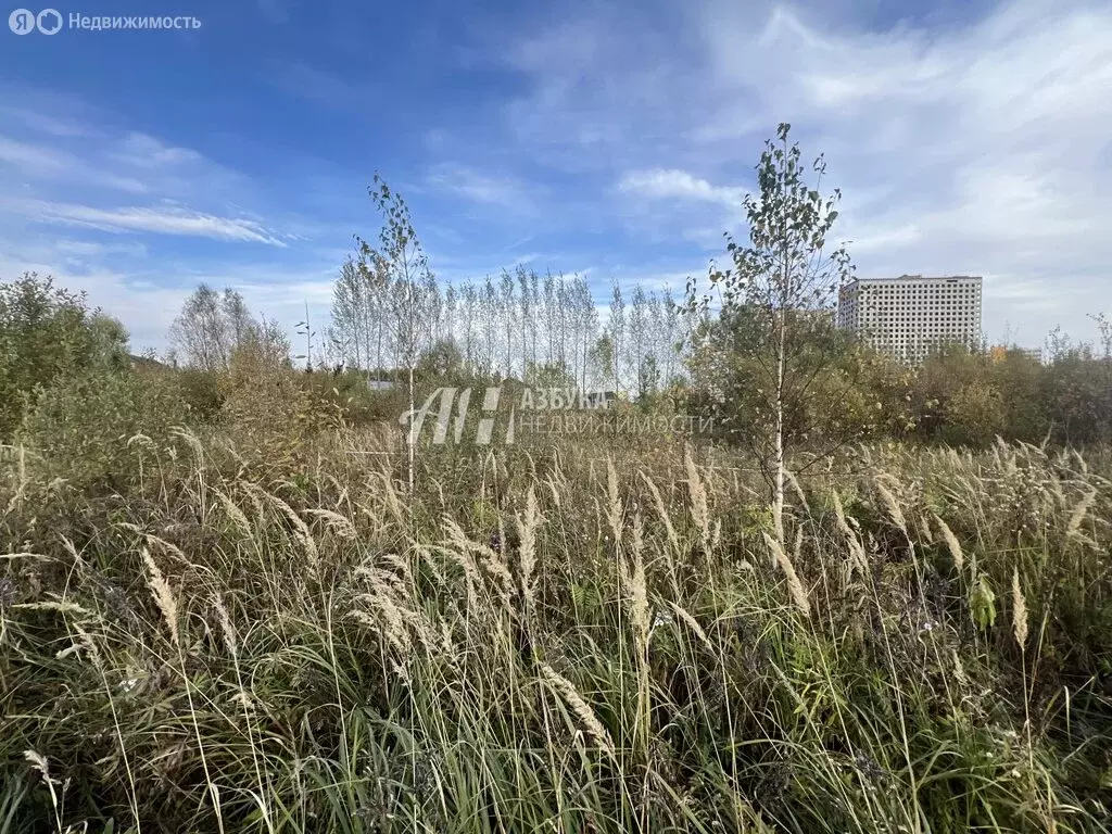 Участок в Московская область, городской округ Солнечногорск, посёлок ... - Фото 0