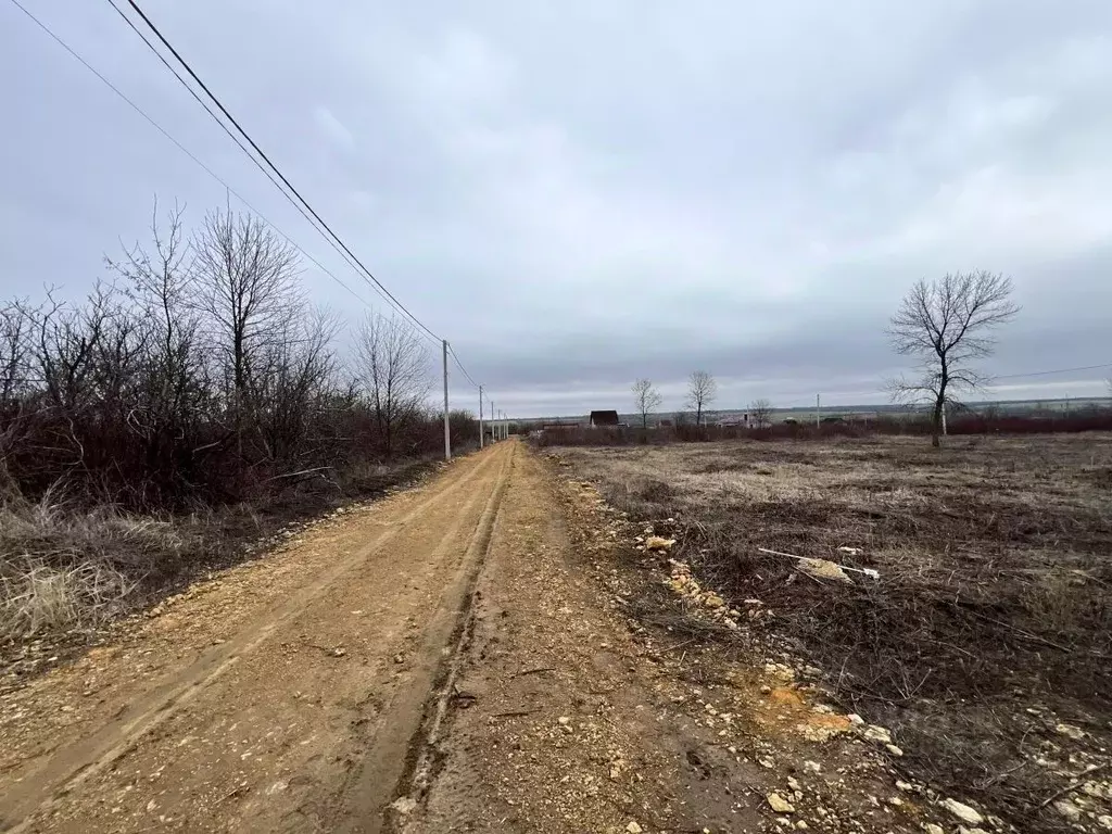 Участок в Ростовская область, Родионово-Несветайский район, ... - Фото 1