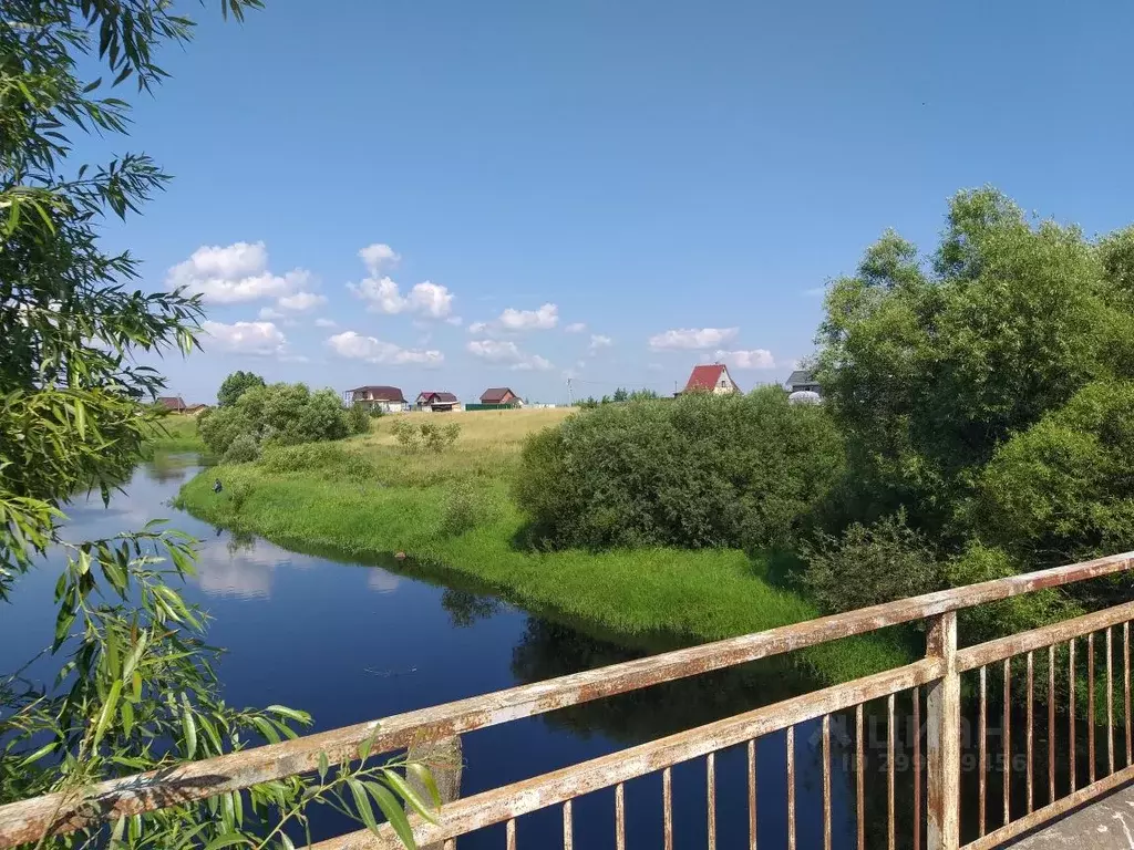Участок в Новгородская область, Новгородский район, Борковское с/пос, ... - Фото 1