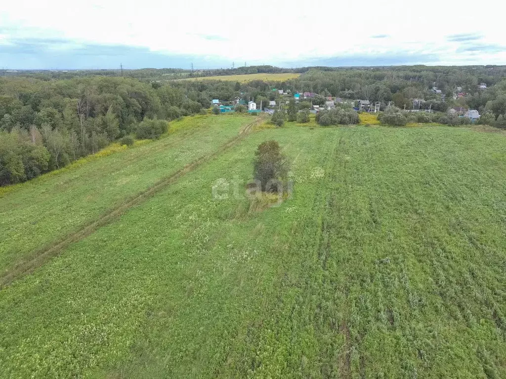 Участок в Хабаровский край, Хабаровский район, Тополевское с/пос, с. ... - Фото 2