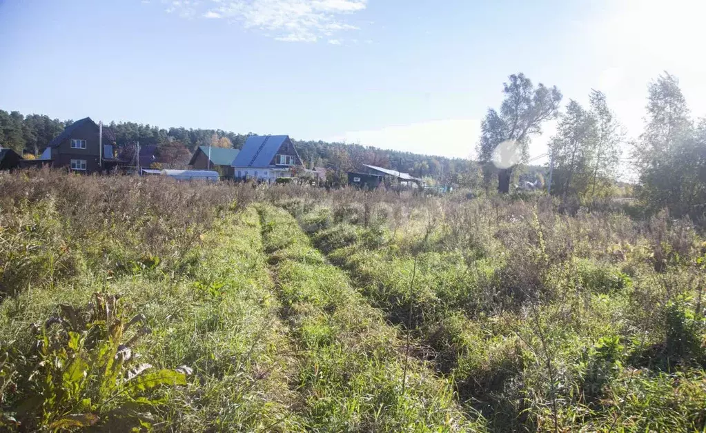 Участок в Новосибирская область, Новосибирский район, Кудряшовский ... - Фото 0