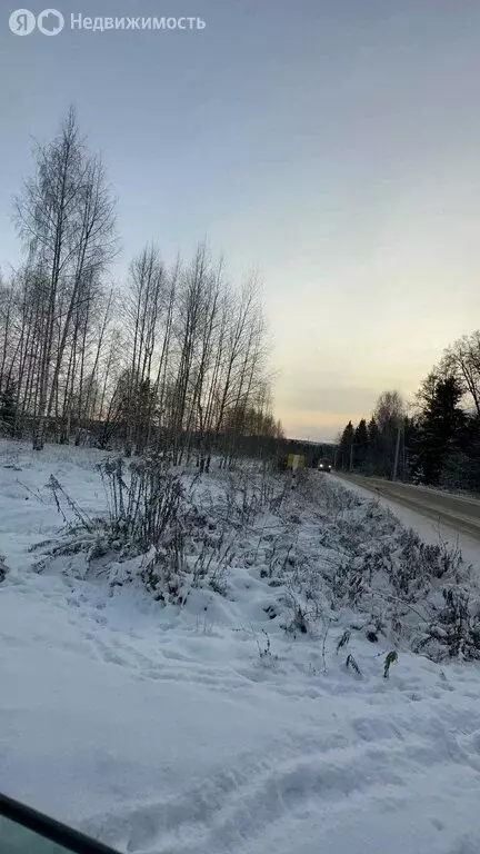 Участок в Завьяловский район, деревня Крестовоздвиженское, Пряничная ... - Фото 1