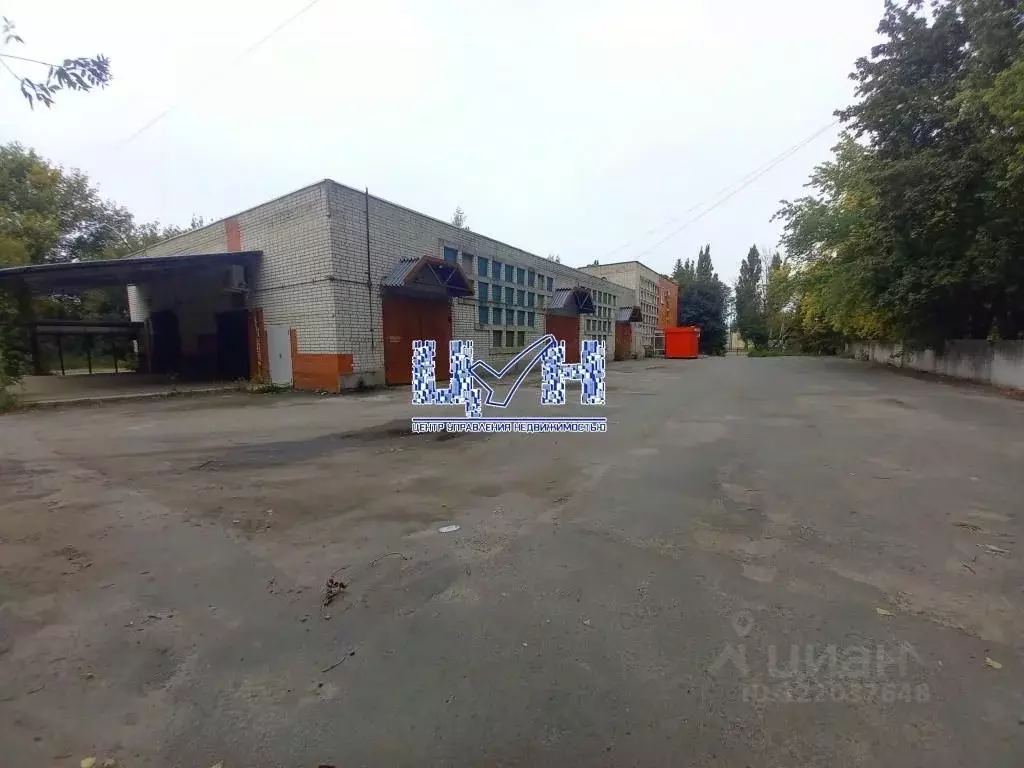 Торговая площадь в Курская область, Курчатов Молодежная ул., 3А (767 ... - Фото 2