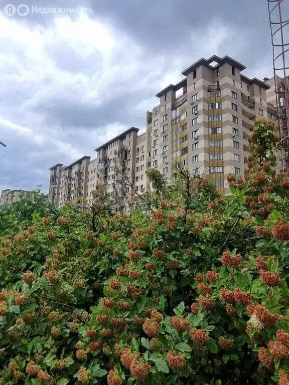 1-комнатная квартира: Одинцово, Триумфальная улица, 2 (42.2 м) - Фото 0