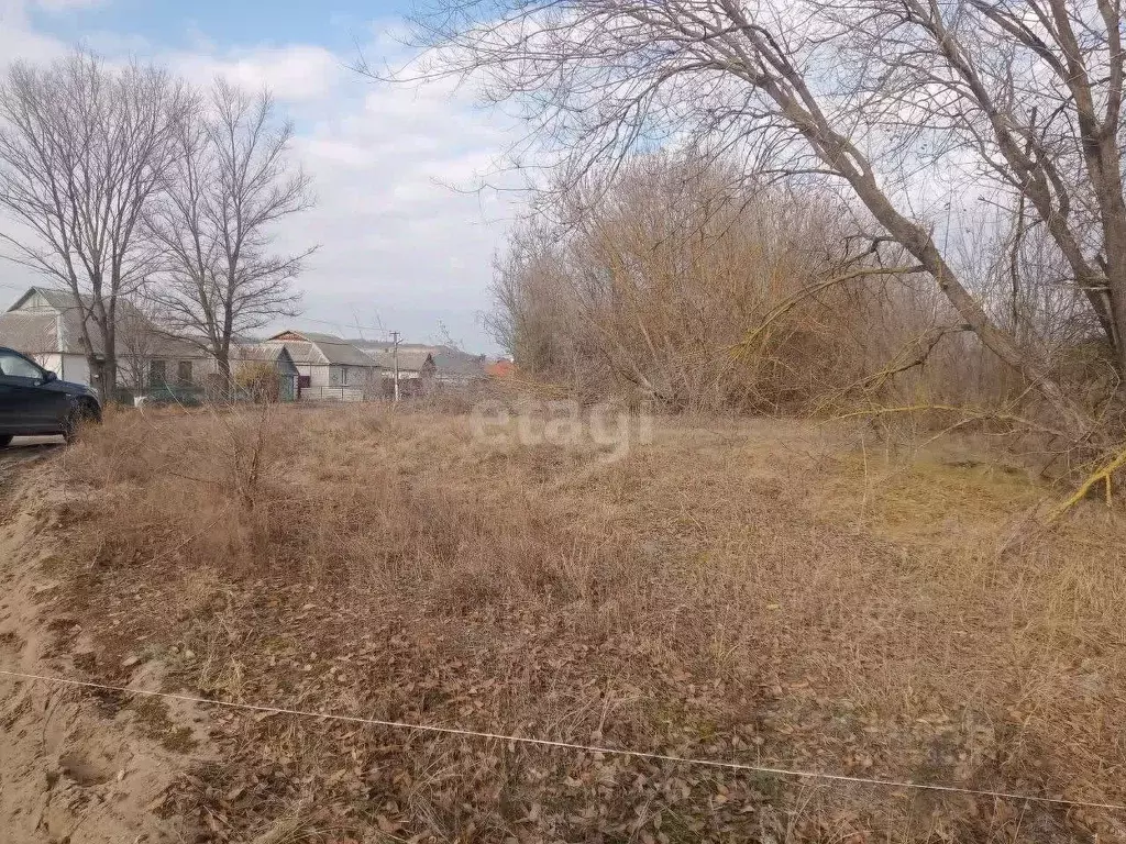 Участок в Белгородская область, Волоконовский район, Пятницкое рп ул. ... - Фото 1
