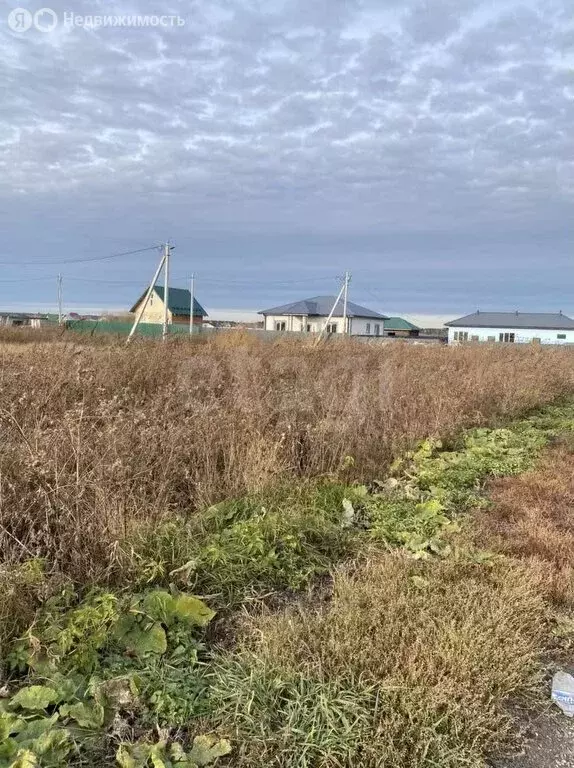 Участок в Тюменский район, село Червишево (9.21 м) - Фото 0