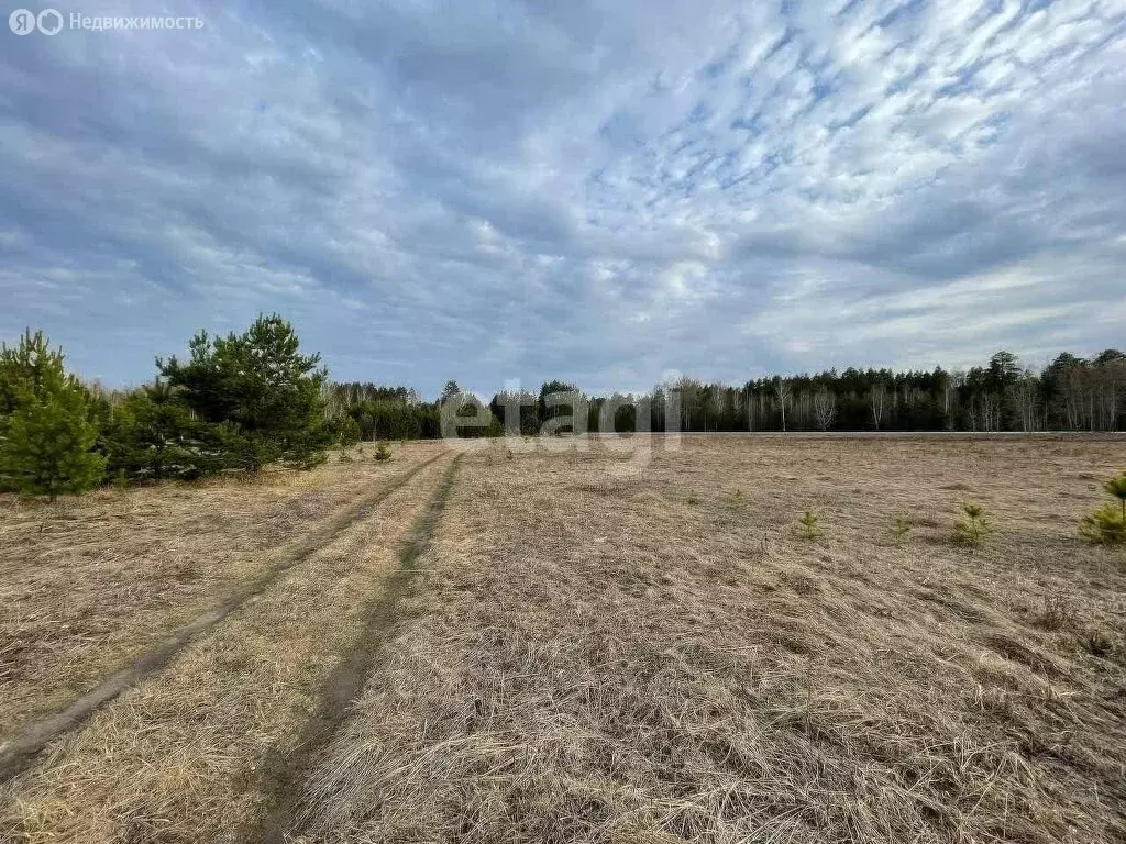 Участок в деревня Головина, улица Ермака (12.02 м) - Фото 0
