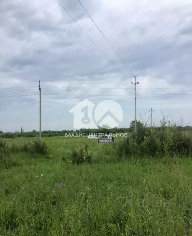 Участок в Новосибирская область, Колыванский район, Пять озер СНТ ... - Фото 1