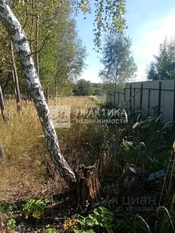 Участок в Московская область, Павлово-Посадский городской округ, д. ... - Фото 1