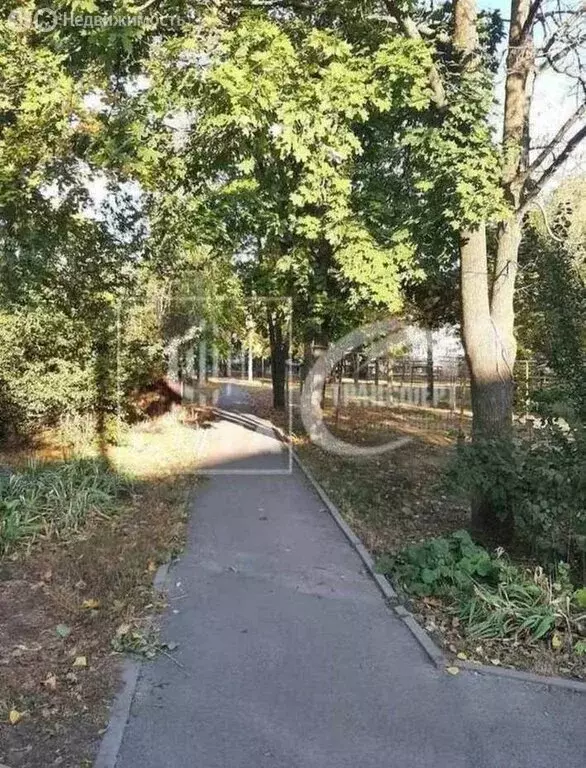 1-комнатная квартира: Новая Усмань, Полевая улица, 20А/1 (97 м) - Фото 0