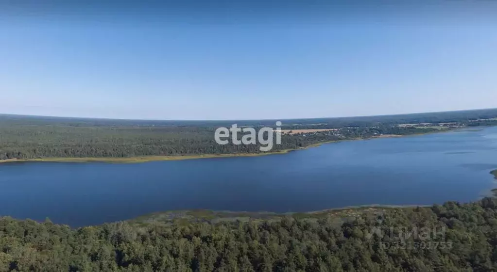 Участок в Ленинградская область, Лужский район, Заклинское с/пос, д. ... - Фото 1