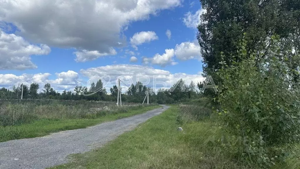 Участок в Тюменская область, Тюмень пос. Букино, ул. Полетаева (12.8 ... - Фото 1