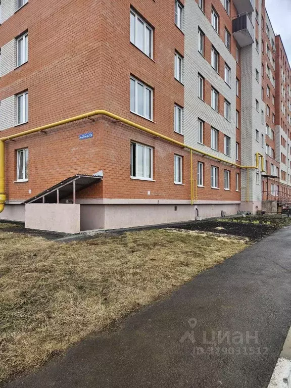 1-к кв. Тульская область, Богородицк Вязовский пер., 35А (29.0 м) - Фото 2