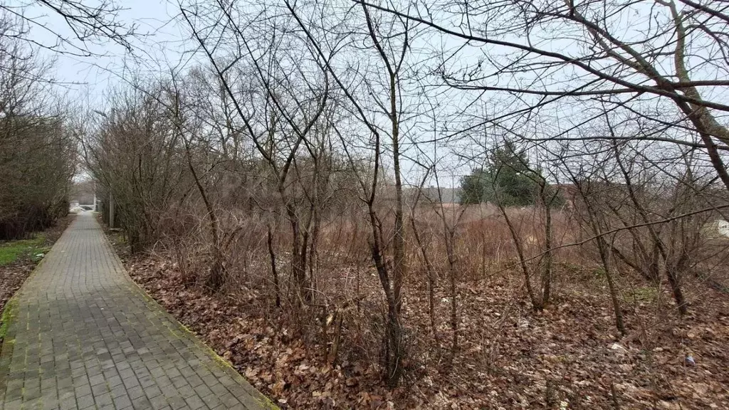 Участок в Калининградская область, Балтийский городской округ, пос. ... - Фото 0