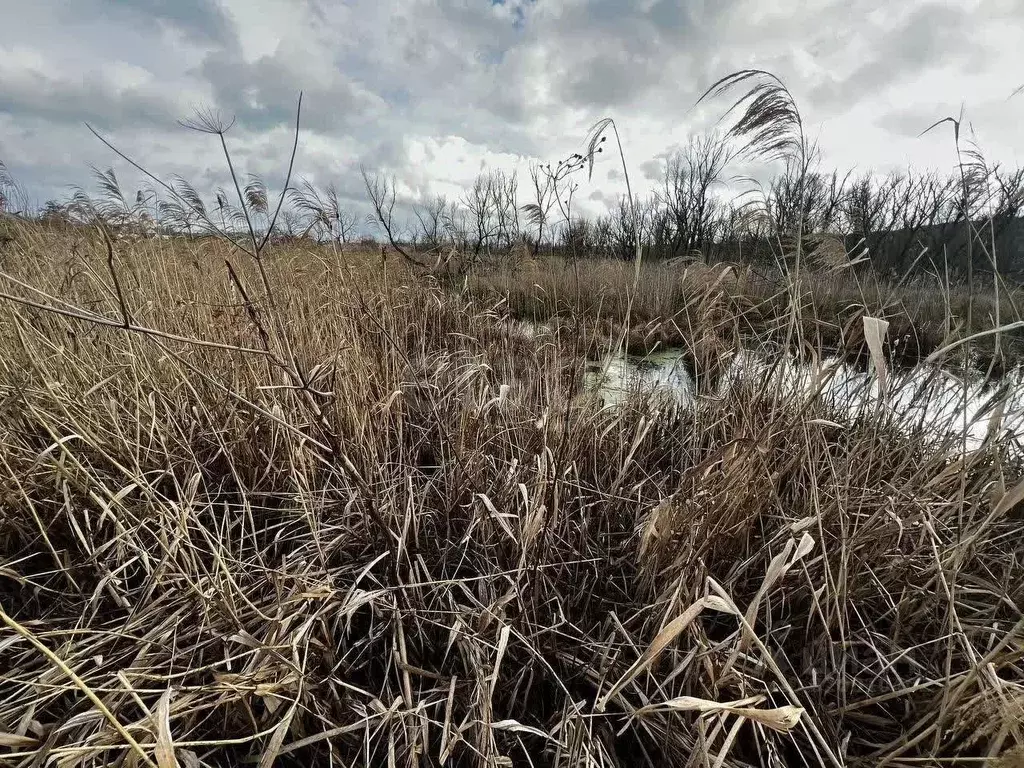 Участок в Белгородская область, Белгородский район, с. Стрелецкое ... - Фото 1