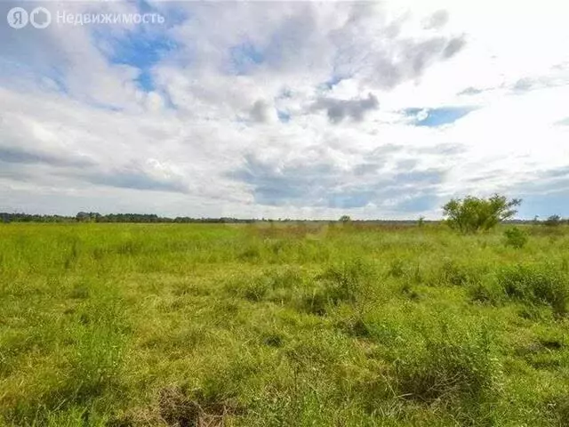 Участок в деревня Ивницы, Луговая улица (10 м) - Фото 2