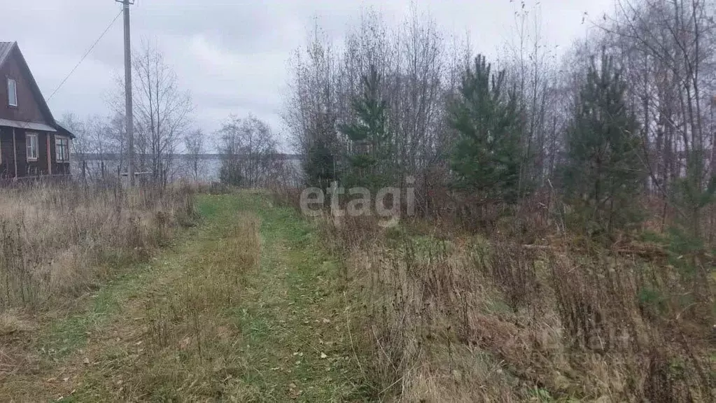 Участок в Вологодская область, Белозерский муниципальный округ, д. ... - Фото 0